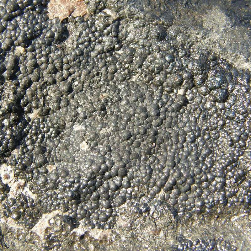 Pitchblende,